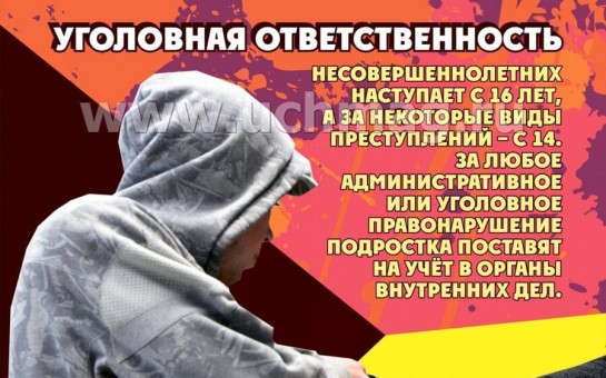 Виды ответственности несовершеннолетних за совершение противоправных действий.За совершенные поступки надо отвечать.