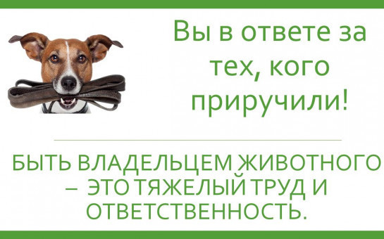 ПАМЯТКА ДЛЯ НАСЕЛЕНИЯ ПО ОТВЕТСТВЕННОМУ ОБРАЩЕНИЮ С ЖИВОТНЫМИ