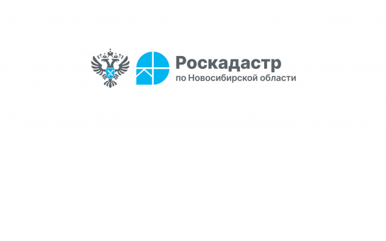В Новосибирской области выявили 8655 га для создания туристических объектов